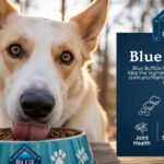 is blue buffalo good dog food