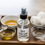 homemade dog ear cleaner